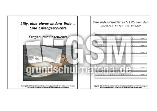 Mini-Buch-Lilly-Entengeschichte-Fragen.pdf
